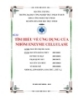 TÌM HIỂU VỀ ỨNG DỤNG CỦA NHÓM ENZYME CELLULASE