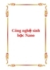 Công nghệ sinh học Nano