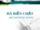 ĐÁ BIẾN CHẤT