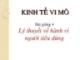 Kinh tế vi mô - Lý thuyết về hành vi người tiêu dùng