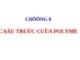 Bài giảng Hoá học và hoá lý polyme: Chương 8