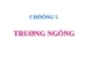 Bài giảng Hoá học và hoá lý polyme: Chương 5