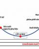 Phân tích chuỗi giá trị xuất khẩu dệt may Việt Nam - PGS.TS. Hà Văn Hội