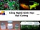 Bài giảng Công nghệ sinh học đại cương: Bài mở đầu - Nguyễn Thị Phương Thảo