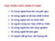 Bài giảng Công nghệ sinh học thực phẩm: Chương 4(2) - ThS. Phạm Hồng Hiếu