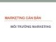 Bài giảng Marketing căn bản - Môi trường marketing