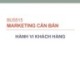 Bài giảng Marketing căn bản - Hành vi khách hàng