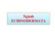 Bài giảng Cổ sinh vật học - Chương 9: Ngành Echinodermata