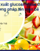 Bài thuyết trình Công nghệ lên men: Sản xuất glucoamylase theo phương pháp lên men bề mặt